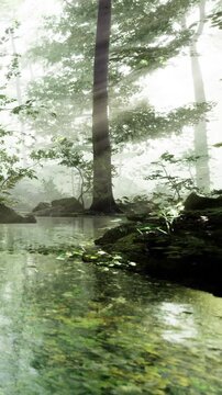 A forest with tall trees stands near a still body of water reflecting the surrounding greenery. Mist rises gently, creating a serene atmosphere in the early morning light.