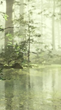 A lush forest has water on the ground reflecting plants. Light filters through trees, creating a bright and humid environment. Green leaves surround the wet area.