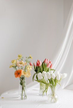 Two Glass Vases Spring Flowers Poppies and Tulips White Interior