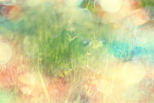 bokeh grass and flowers, summer nature background, blurred sun glare on fields of meadow flowers and fresh grass