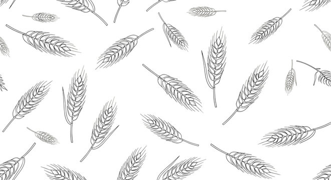 Minimalist wheat stalk seamless pattern in a hand drawn sketch style for organic food and farm branding identity.