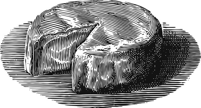 Vintage engraved illustration of round cheese with a missing wedge, black and white sketch