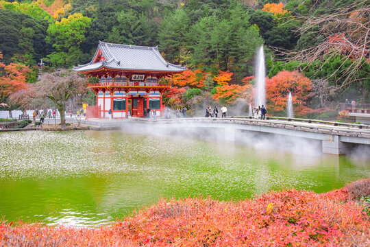 Japan - November 27, 2025 : Tourists enjoy sightseeing colorful maple trees in the garden of Katsuoji Temple in autumn, Osaka