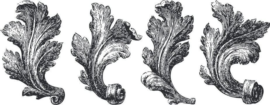 vintage baroque acanthus leaf ornaments set classic decorative floral elements collection for design