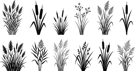 Fototapeta premium Grass and reed silhouettes set for natural botanical design elements