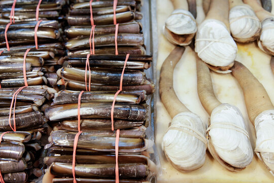 Razor clams and assorted clams at seafood market