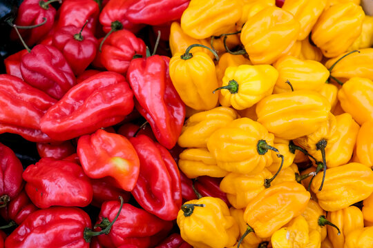Red and yellow peppers close up at market