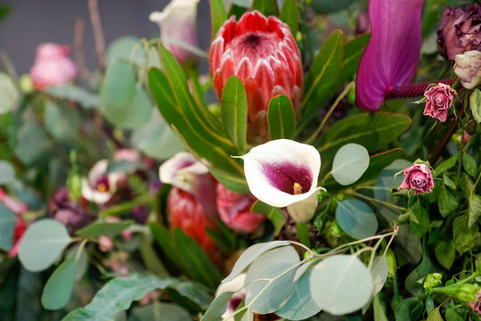 Protea and calla lily floral arrangement close up