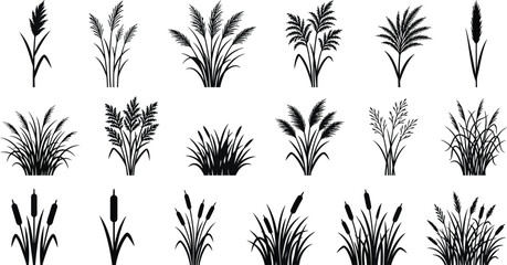 Various grass and plant silhouettes set for natural design elements © MD. MASUD R ANA