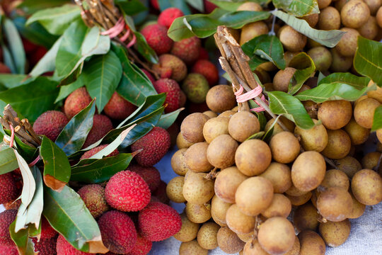 Lychee and longan fruit with leaves at market