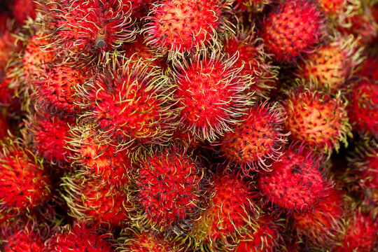 Red rambutan fruit close up at market