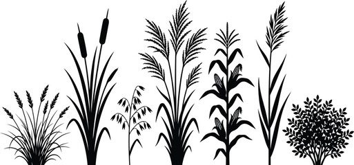 Tall grass and plant silhouettes set for natural landscape design © MD. MASUD R ANA