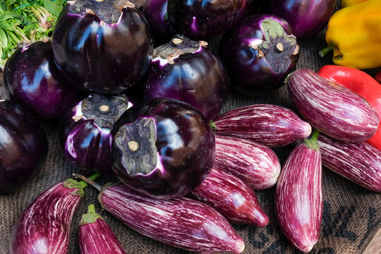 Purple eggplants and striped aubergines close up