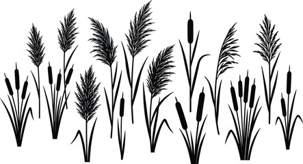 Reed and grass silhouettes collection for natural botanical design elements © MD. MASUD R ANA