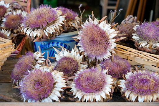 Dried thistle flowers in rustic market display