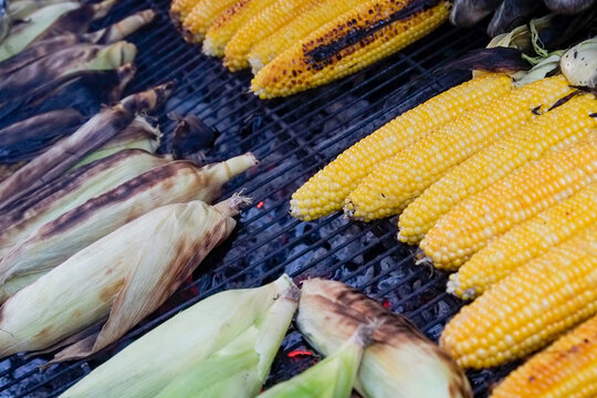 Grilled corn on barbecue with charred husks