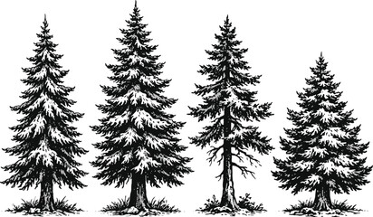 Fototapeta premium Four-tree Clip art