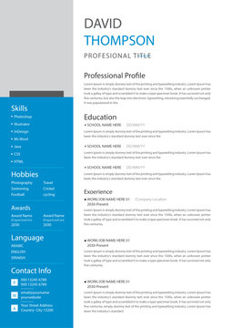 Minimalist resume cv, editable modern clean cv, basic resume.