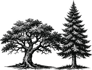 Fototapeta premium Two-tree Clip art