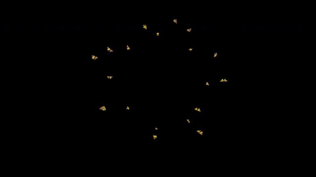A medium number of realistic 3D butterflies move smoothly in a circular loop around a round frame with natural wing movement. Seamless loop 4K alpha channel, ideal for compositing, VFX scenes.