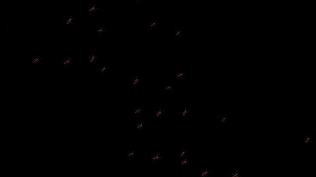 Realistic 3D animation of a medium group of ants running fast upward at an angle. Starts and ends with empty frame. Clean alpha channel for easy overlay. High-quality macro footage in 4K.