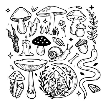 Magic autumn forest line art collection with mushrooms, snake, moon and botanical elements