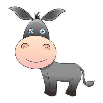Grey Donkey