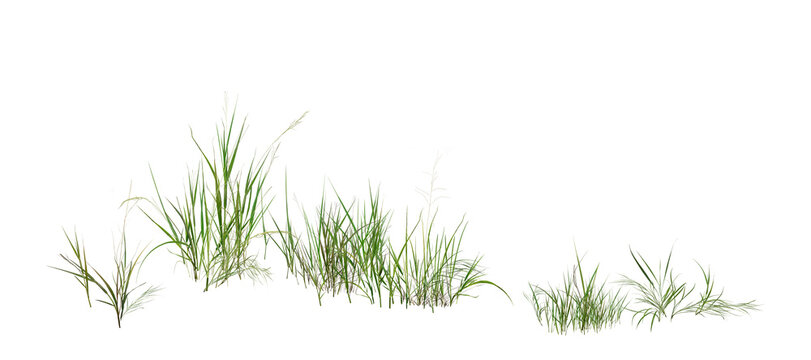 green grass isolated on white/High-resolution image of fresh green grass isolated on a clean white background, featuring sharp details and natural texture&mdash;perfect for design, nature, and landscaping u