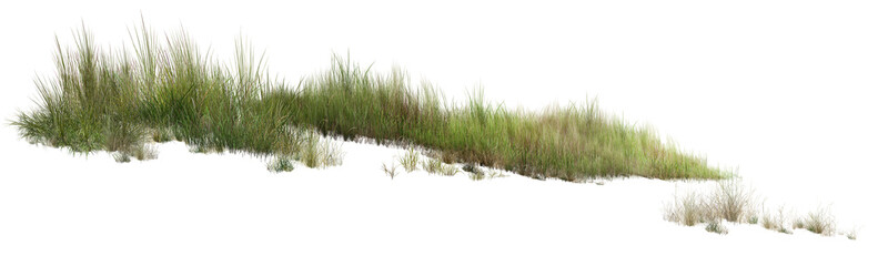 Naklejka premium grass on white background/High-resolution isolated green grass border, sharp focus nature vegetation for architectural visualization and graphic design on white background.