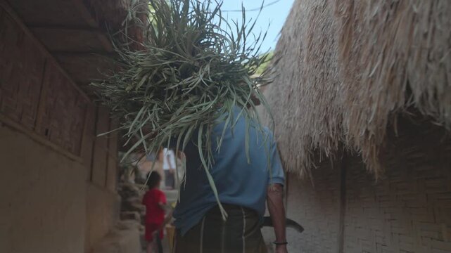 Rear View of Old Farmer Walking Between Thatched Roof Houses Desa Sade Lombok