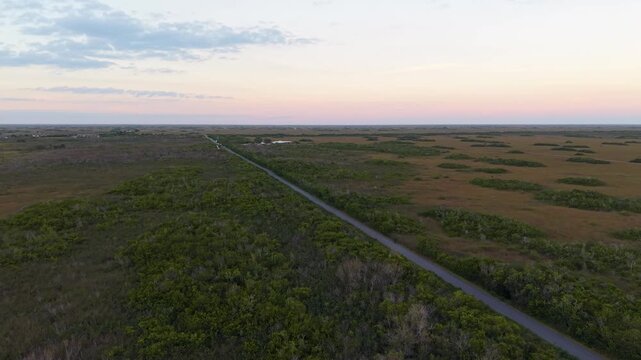 Cinematic drone shot of the iconic loop road cutting through the vast sawgrass prairies and wetlands of Shark Valley in Everglades National Park.