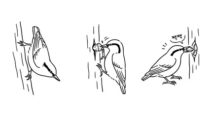 Naklejka premium Unique Birds Engaging with Nature in Dynamic Poses