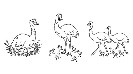 Obraz premium A Mother Emu and Her Chicks in a Natural Setting