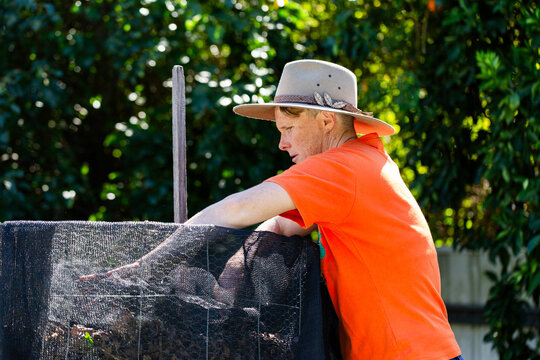 Australian woman in backyard garden checking soil in upright compost container