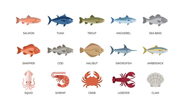 Seafood and fish icons arranged on white background
