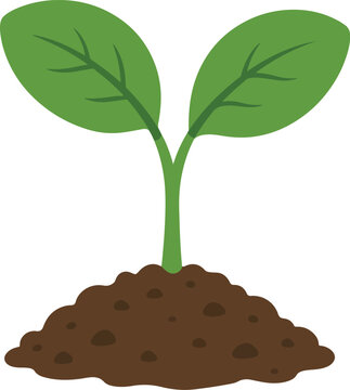 Green Sprout Seedling Growing in Brown Soil Flat Vector Icon