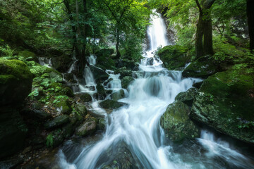 Fototapeta premium Long exposure of Maewoldae Waterfall cascading through lush green forest, South Korea