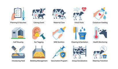 Fototapeta premium Calf care and management icons arranged on white background