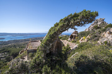 Fototapeta premium Caprera, scorci di un'isola incontaminatasardegna