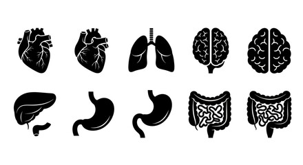 Fototapeta premium Set of black medical organ silhouettes including heart, lungs, brain, liver, stomach and intestines.