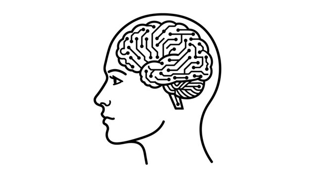 Side profile of a human head with an illustrated brain diagram for neuroscience and anatomy education.