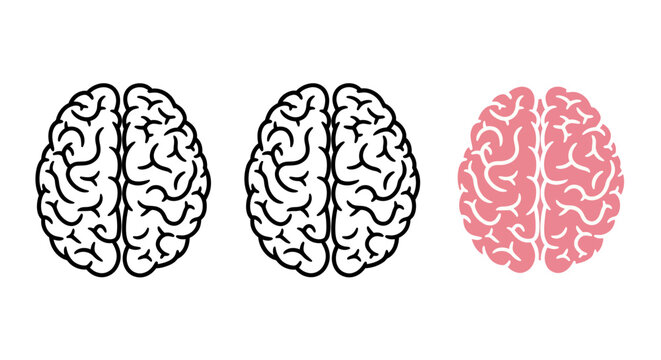 Three Brain Icons: Two Outlined Brains and One Pink Brain Illustration.