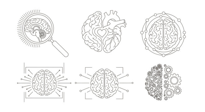 Educational diagram of brain anatomy showing lobes, hemispheres, and neural structures in a comparative illustration.