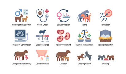 Fototapeta premium Animal breeding and reproduction icons set showing farm processes