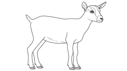 Fototapeta premium Detailed black and white line art illustration of a standing domestic goat, simple farm animal outline drawing for coloring book
