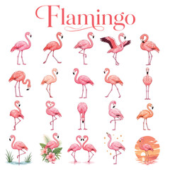 Obraz premium Flamingo in Wetland – Elegant Pink Bird Standing in Natural Habitat