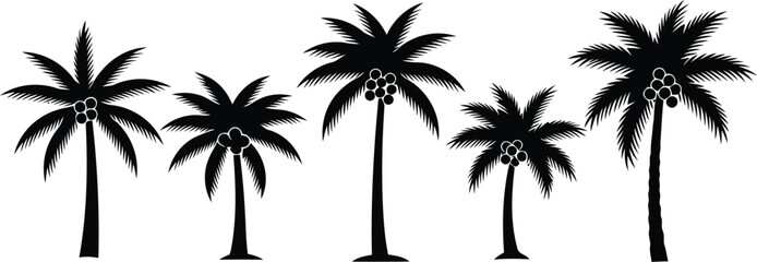 Fototapeta premium Black silhouette palm trees with coconuts on white background