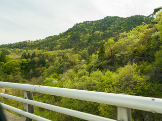 Fototapeta premium Green Hillside White Guardrail Road Wide Landscape
