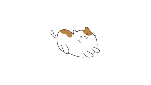 Cat cartoon isolated on white animation