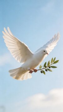 white dove flying with olive branch